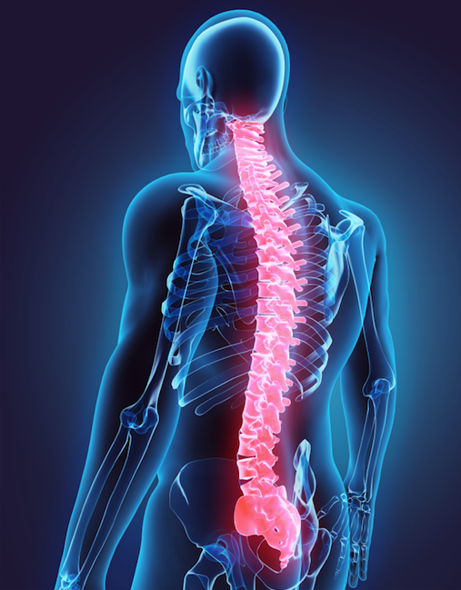 Neck and Back Pain - The Spine Clinics