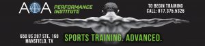 Performance institute banner