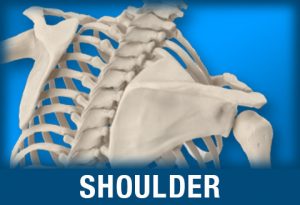 Shoulder injuries