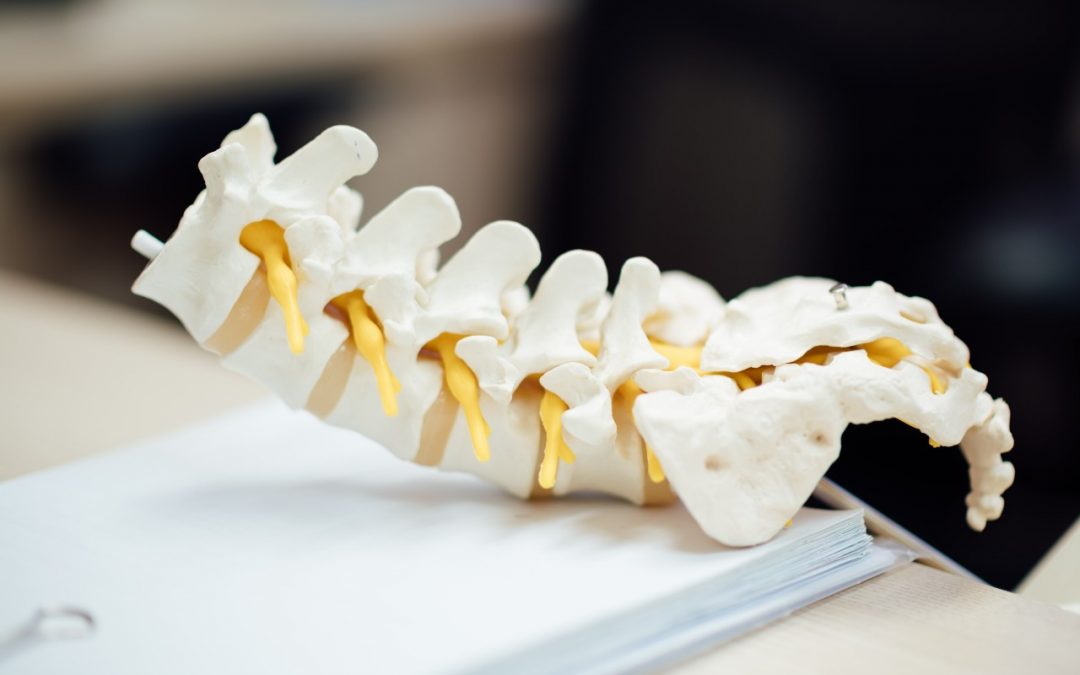 Ways To Keep Your Spine Healthy