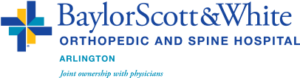 BSW Logo