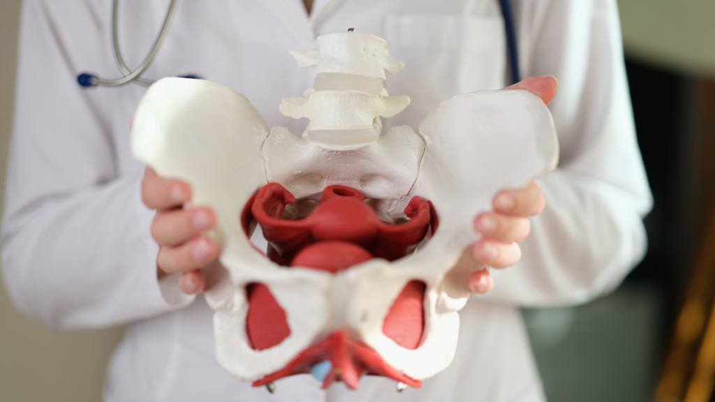 Hip Archives - AOA Orthopedic Specialists